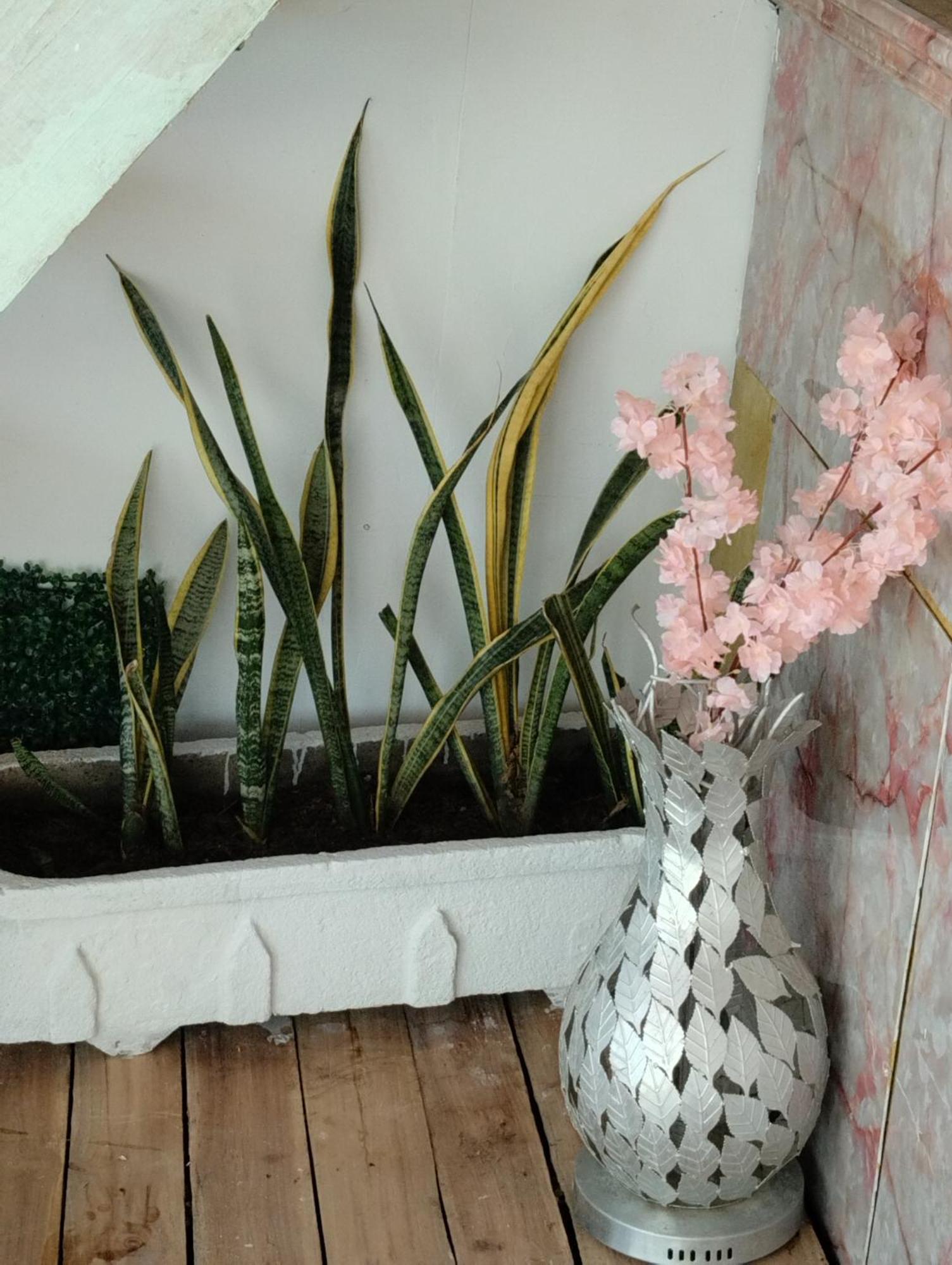 Hostal Lamar Baru Donde Gertrudis Playa Blanca Ngoại thất bức ảnh