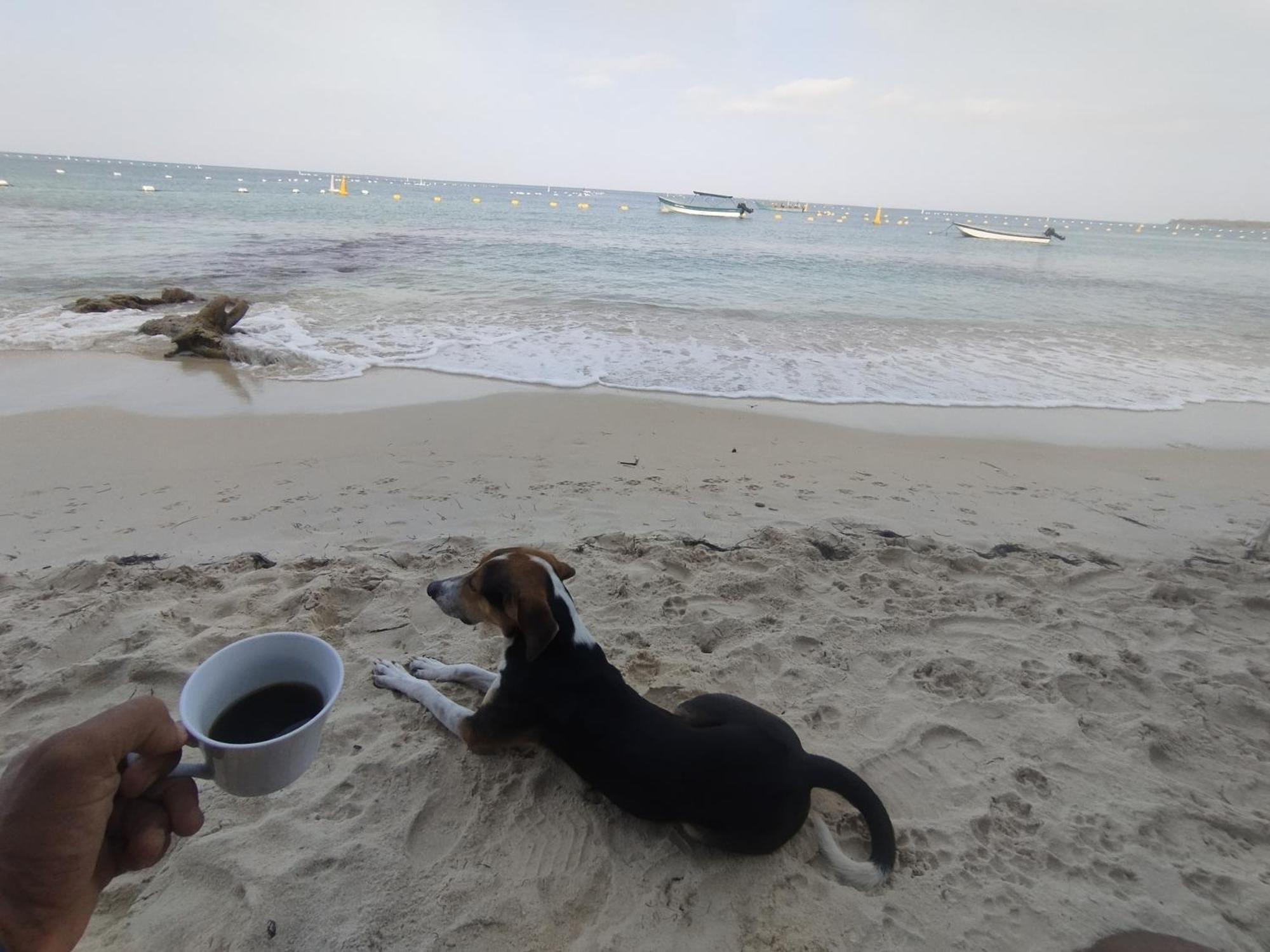 Hostal Lamar Baru Donde Gertrudis Playa Blanca Ngoại thất bức ảnh